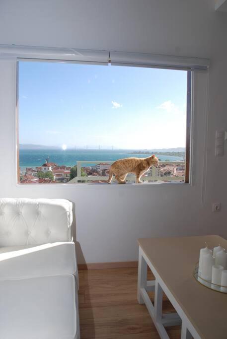 360ᵒ Lepanto Apartment Nafpaktos Exterior foto