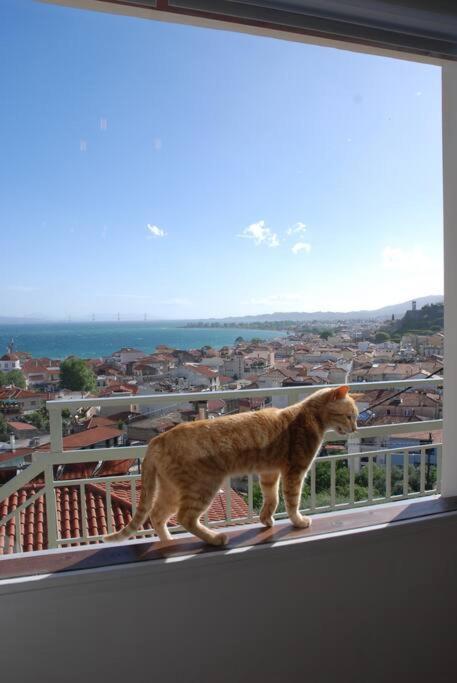 360ᵒ Lepanto Apartment Nafpaktos Exterior foto